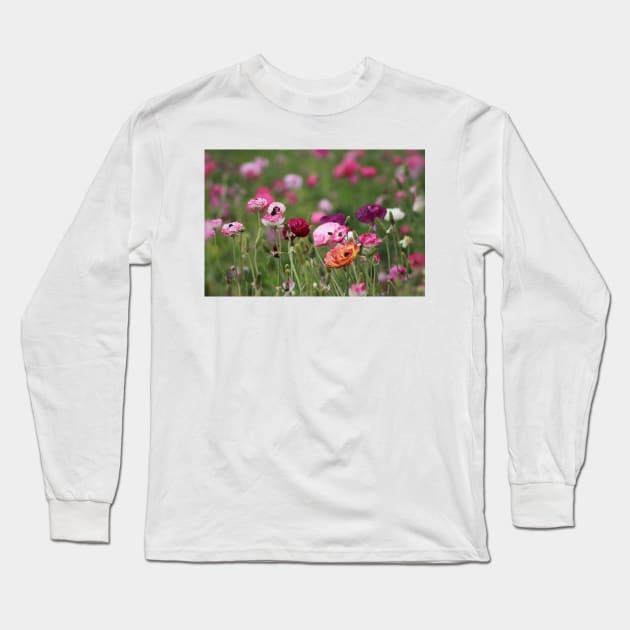 Jelly Bean Colored Ranunculus Long Sleeve T-Shirt by ButterflyInTheAttic